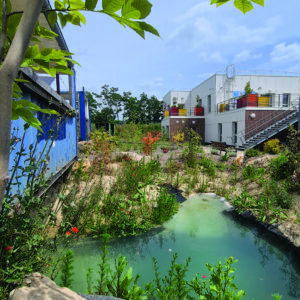 Un sanctuaire sauvage au cœur de la zone industrielle de Verneuil-sur-Seine